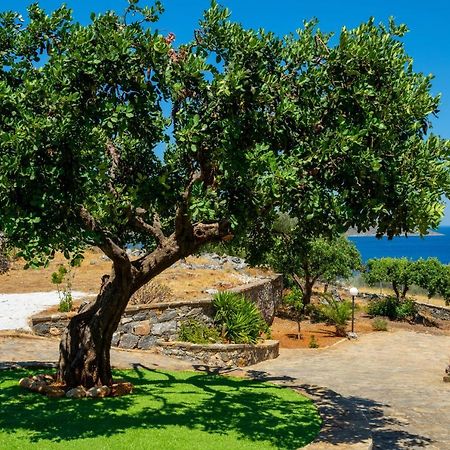 Elounda Anemelia Apartments ภายนอก รูปภาพ